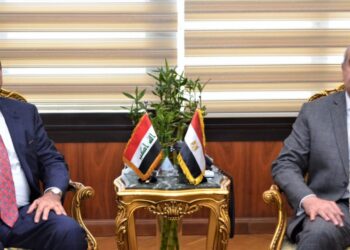 Egypt pays attention to supporting, boosting co-operation with Iraq: Civil aviation min.