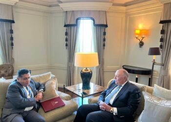 Shoukry stresses importance of launching partnership council between Egypt, UK
