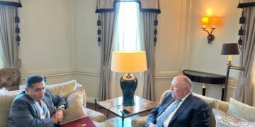 Shoukry stresses importance of launching partnership council between Egypt, UK