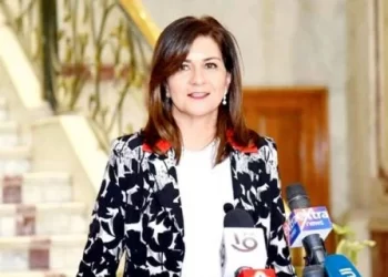 Medically equipped plane to transport Egyptian leukemia child from Arabia to Egypt: Emigration min.