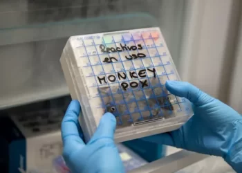 Monkeypox emergency could last months as window closes to stop spread, experts say