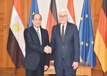 Sisi, German counterpart start official sessions of talks in Berlin