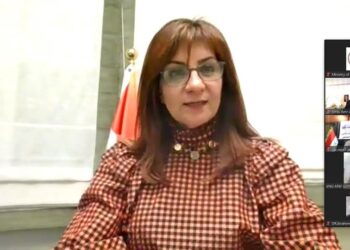 Emigration minister probes preparations for 3rd conf. of Egyptian entities abroad