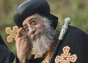 Pope Tawadros: Egypt realising comprehensive development under Sisi