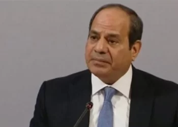 President Sisi: Cop27 conf. aims to fulfill climate pledges