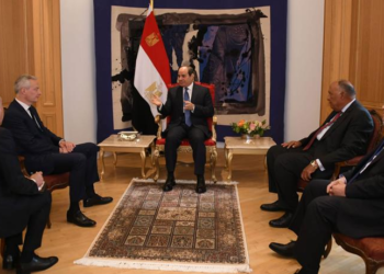 President Sisi expresses aspiration for developing prospects of economic, trade cooperation with France