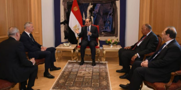 President Sisi expresses aspiration for developing prospects of economic, trade cooperation with France