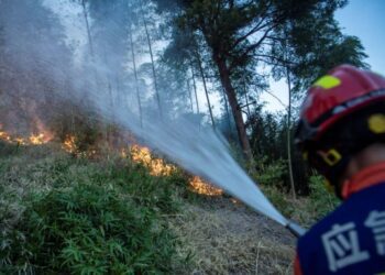 Power crunch in China’s Sichuan Province eases – state media