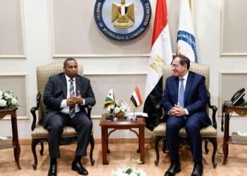 Egypt, Djibouti discuss bilateral co-operation in oil, gas industry