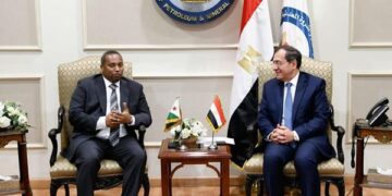 Egypt, Djibouti discuss bilateral co-operation in oil, gas industry