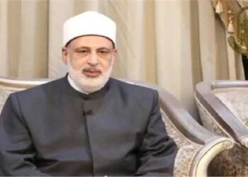 Egypt gives prior attention to climate change issue: Al-Azhar undersecretary