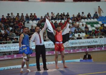 Egypt hosts sixth African Kung Fu championship in September