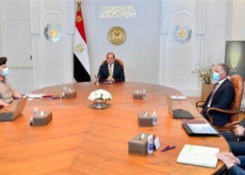 Sisi calls for boosting process of localising industries