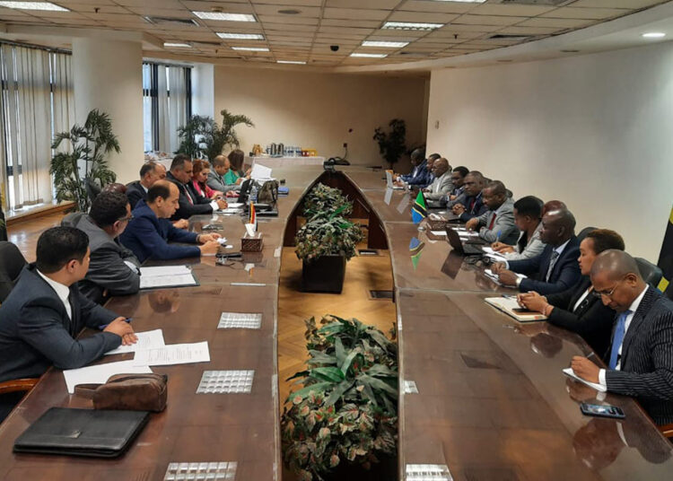 Egypt, Tanzania boost co-operation in aviation services 1 - Egyptian Gazette