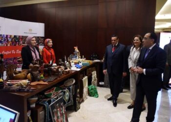 PM: Egypt interested in contributing to 2063 Africa Agenda