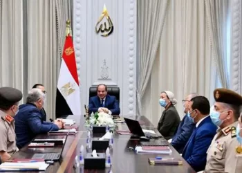 Sisi reviews efforts to develop natural lakes nationwide