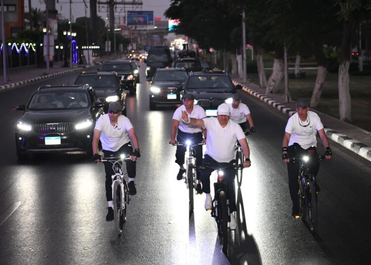 Updated - Sisi: Egypt working with partners to restore peace, stability in Gaza Strip 2 - Egyptian Gazette Updated - Sisi: Egypt working with partners to restore peace, stability in Gaza Strip 1 - Egyptian Gazette