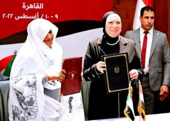 Gamea: Egypt stresses keenness on enhancing economic co-operation with Sudan