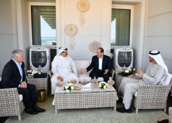 Sisi renews support for efforts to consolidate regional security