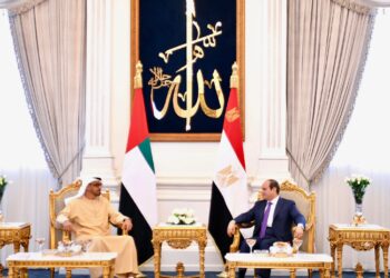 Sisi, UAE president discuss boosting joint Arab action