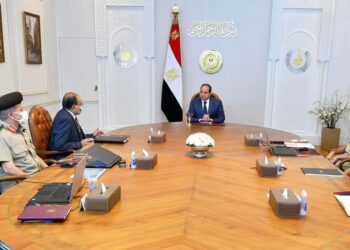 Sisi follows up progress of work in some national projects