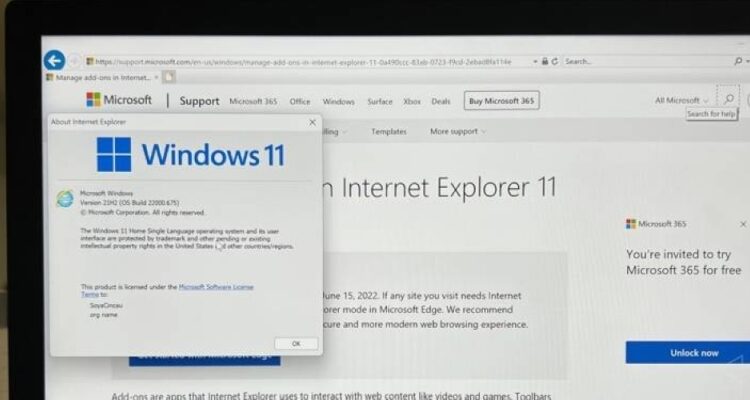 Miss Internet Explorer? Here’s how to get it back on Windows 11 1 - Egyptian Gazette