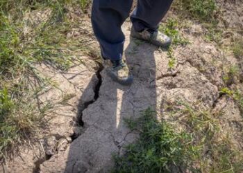 China plans cloud seeding to protect grain crop amid drought