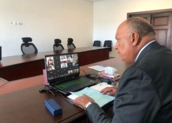 Egypt FM takes part in FOCAC ministerial meeting