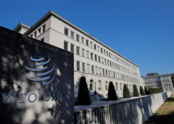 Tonnes of fruit stranded in EU, South Africa battle of oranges