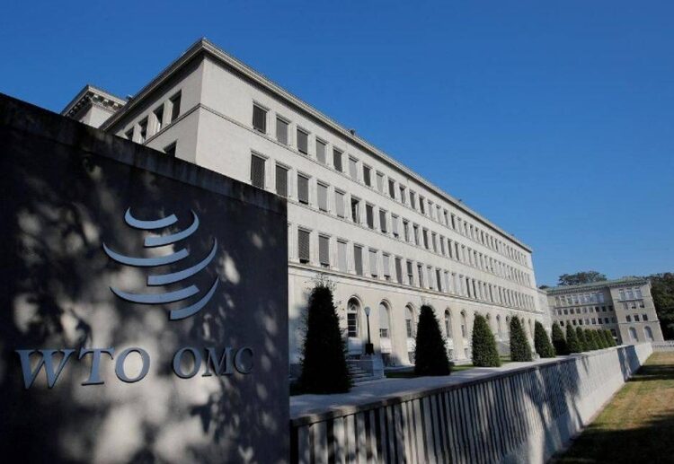 Tonnes of fruit stranded in EU, South Africa battle of oranges 2 - Egyptian Gazette Tonnes of fruit stranded in EU, South Africa battle of oranges 1 - Egyptian Gazette