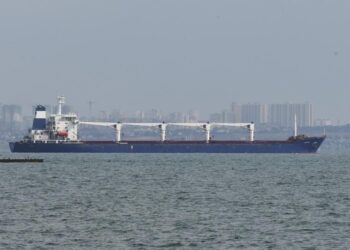 First ship loaded with Ukrainian grain leaves Odesa port