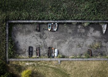 European drought dries up rivers, kills fish, shrivels crops