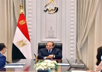 Sisi calls for supporting national  plans to promote climate action,  co-operation with int’l partners   