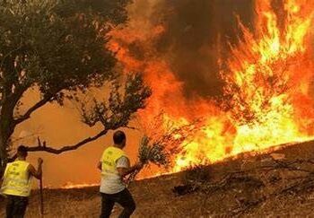 Abul Gheit condoles with Algeria over wildfires victims