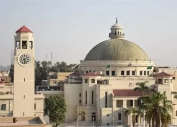 Cairo University organises 1st simulation model for IOM