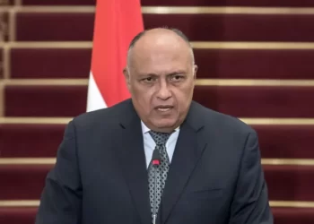 Egypt, China discuss important issues to be discussed in COP 27 conference