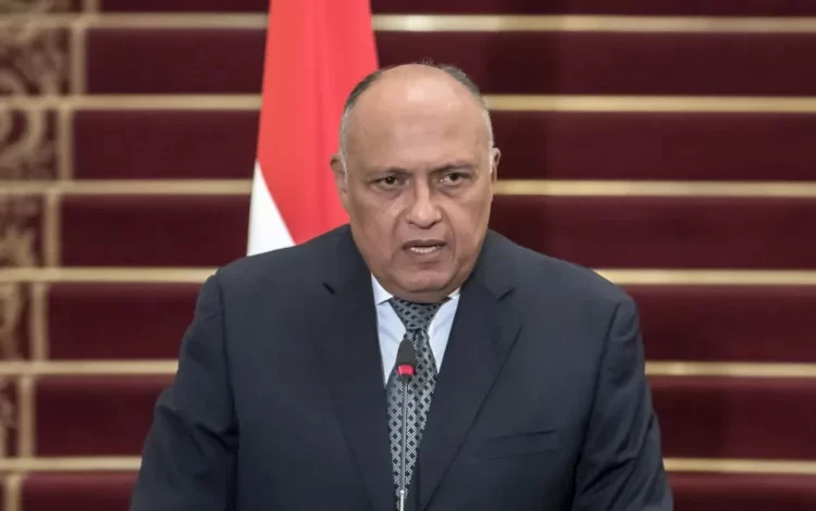 Egypt, China discuss important issues to be discussed in COP 27 conference 1 - Egyptian Gazette