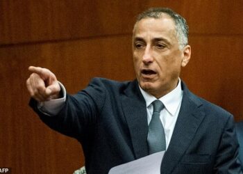 Sisi appoints Tarek Amer as presidential adviser