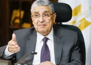 Electricity min., FFI region director discuss investing in green hydrogen field