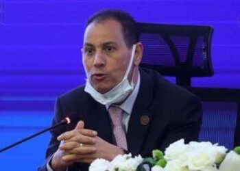 FRA mulls issuing securitised bonds worth LE20b