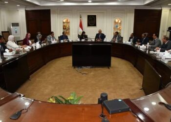 Housing, emigration ministers discuss promoting Egyptian expats’ real-estate investments in Egypt