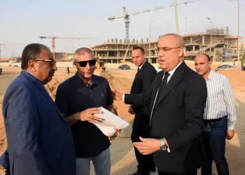 `Egypt has no shortage of electricity`