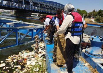Egypt eying world record with largest clean-up campaign