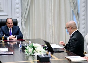 Sisi reviews progress of housing projects nationwide