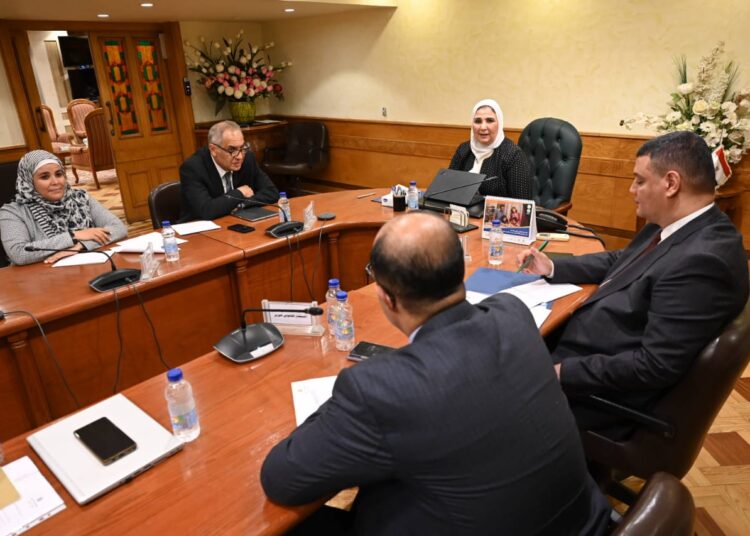 Reviewing a project connecting data among ministries 1 - Egyptian Gazette