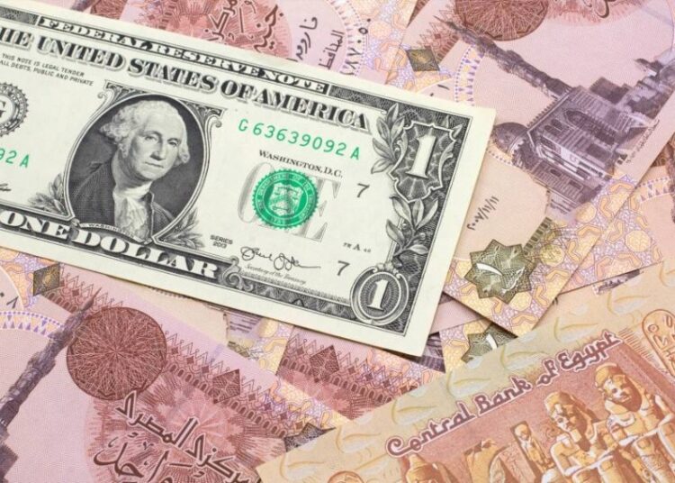 Rising dollar rate affecting local market 1 - Egyptian Gazette