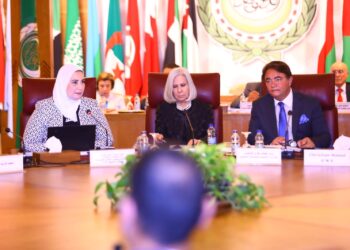 ‘Egypt unique model for voluntary work’