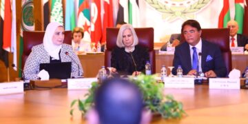 ‘Egypt unique model for voluntary work’