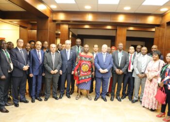Abdel-Aal in talks with African local development ministers