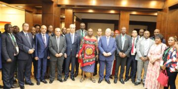 Abdel-Aal in talks with African local development ministers